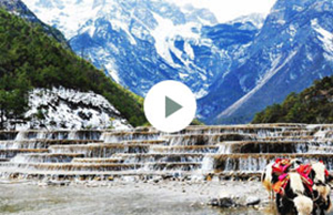 2017年九洲国际科技团建-云南之旅