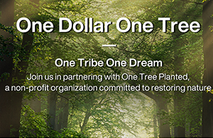 补登：关注情形；；；；，，，，践行低碳理念